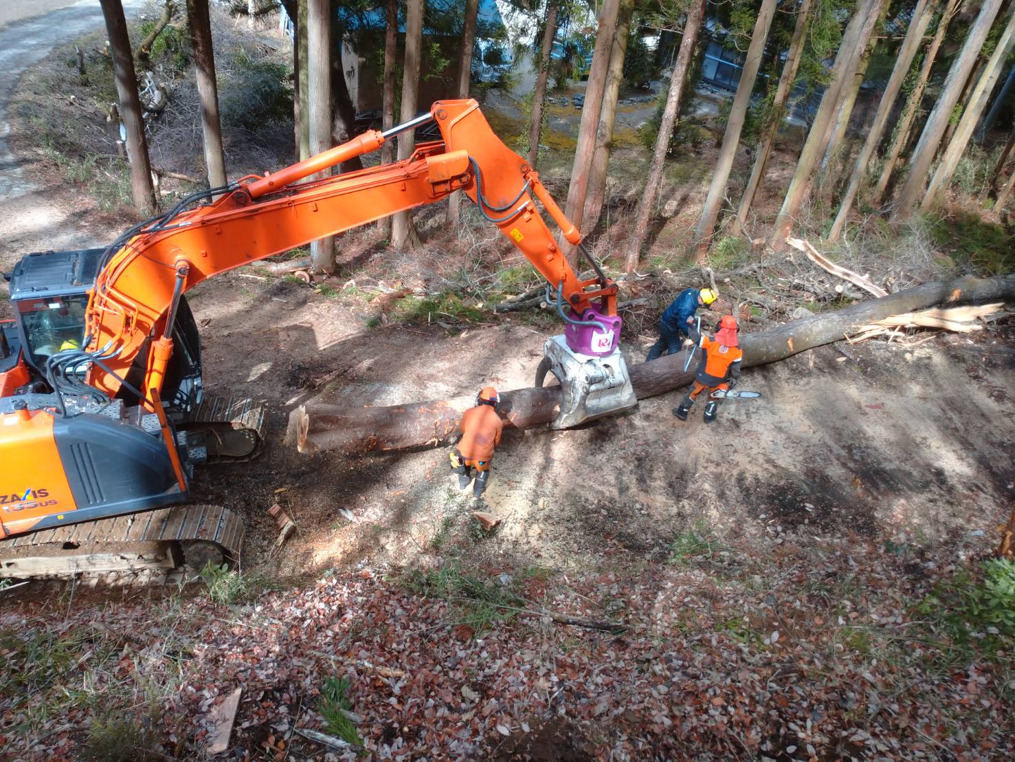 林業が行う作業 作業員の効率化を図るために必要な機械！